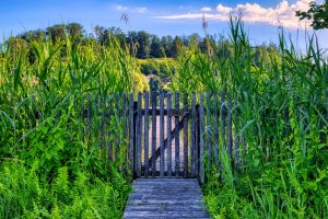 Small is the gate and narrow the road that leads to life